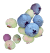 blueberry