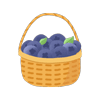 blueberry